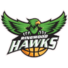 灵伍德老鹰logo